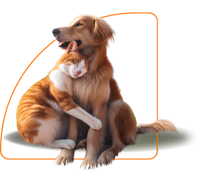 gato y perro abrazados